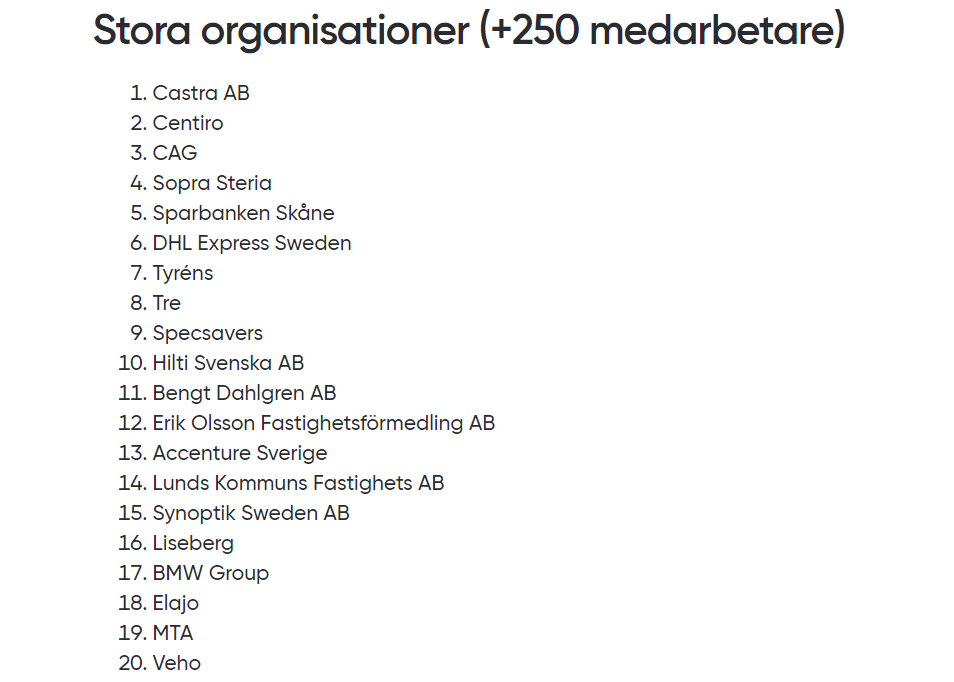 Stora organisationer lista