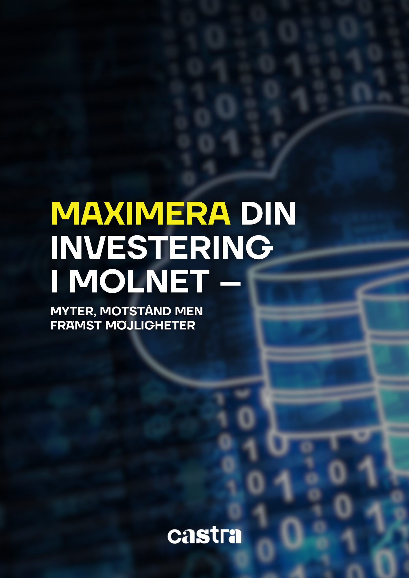 Maximera din investering i molnet