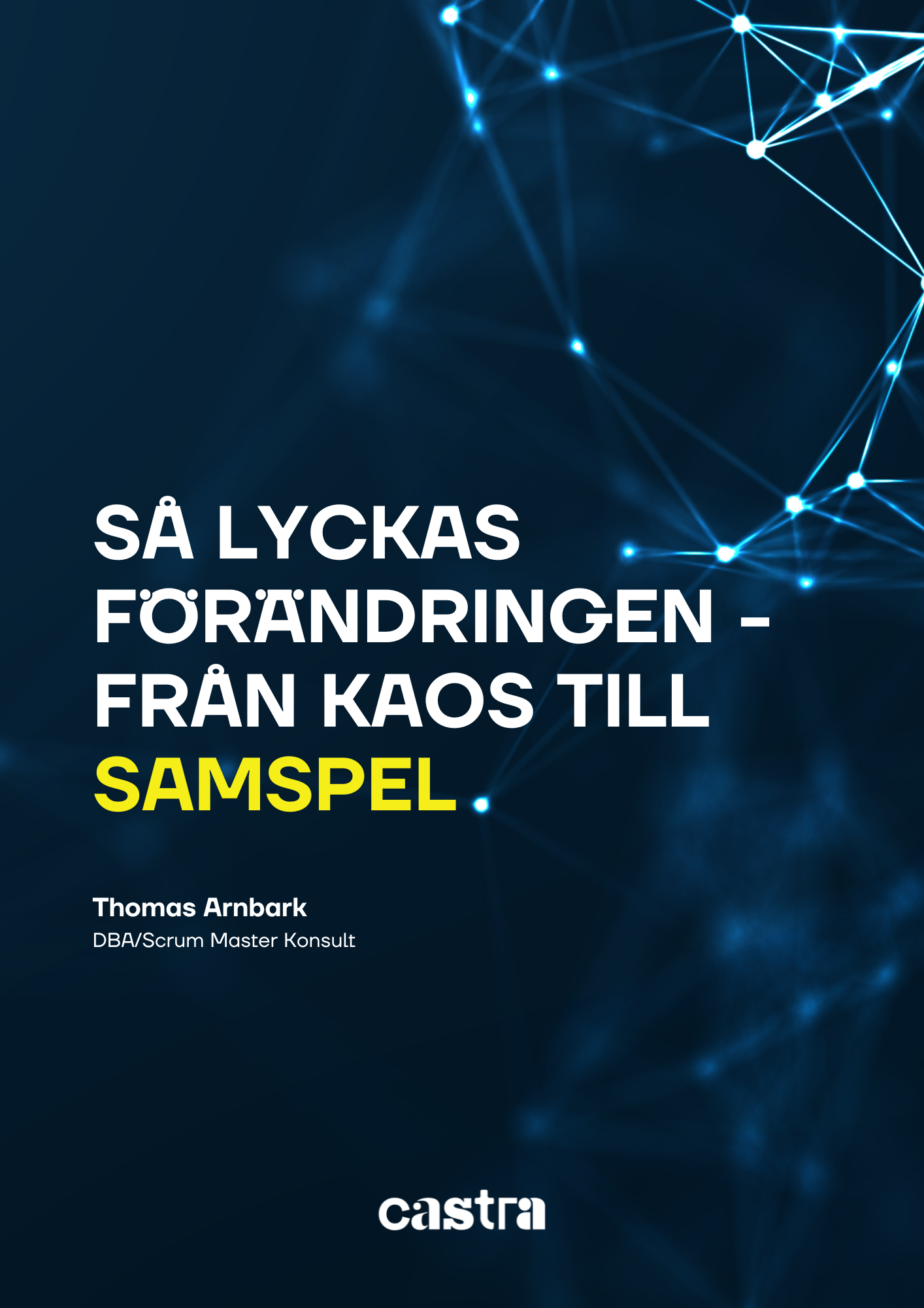 Från Kaos till samspel whitepaper